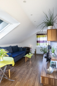 Wohnzimmer mit Schlafcouch Wohnzimmer mit Schlafcouch